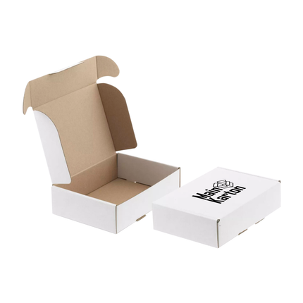 Briefkarton C 305x220x45mm